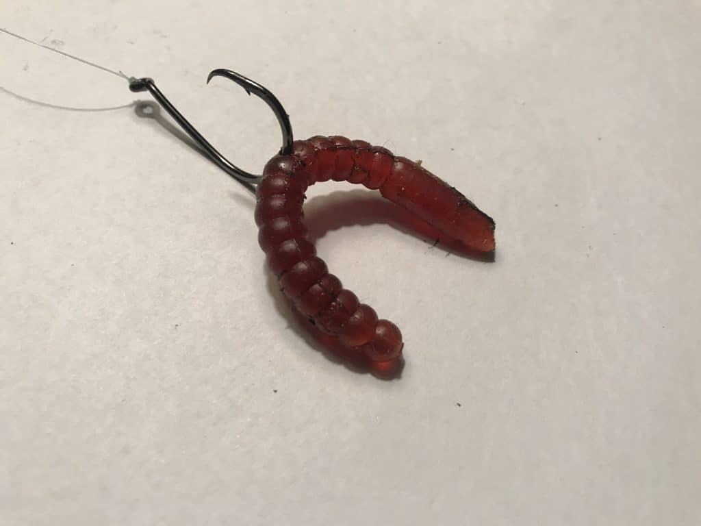 Top 4 Ways To Fish A Plastic Worm For Bass Overton S