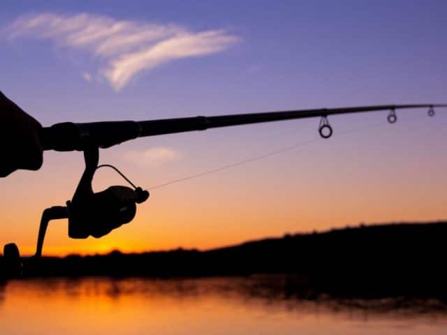 Everything You Need to Know about Fishing at Night