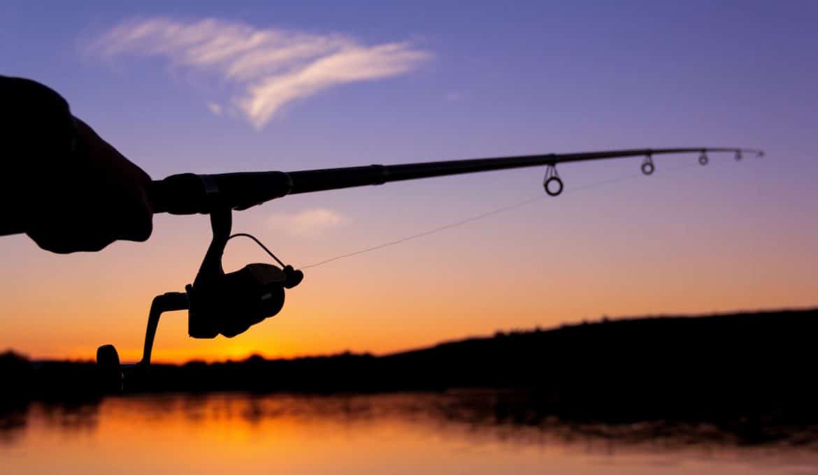 Everything You Need to Know about Fishing at Night Overton's