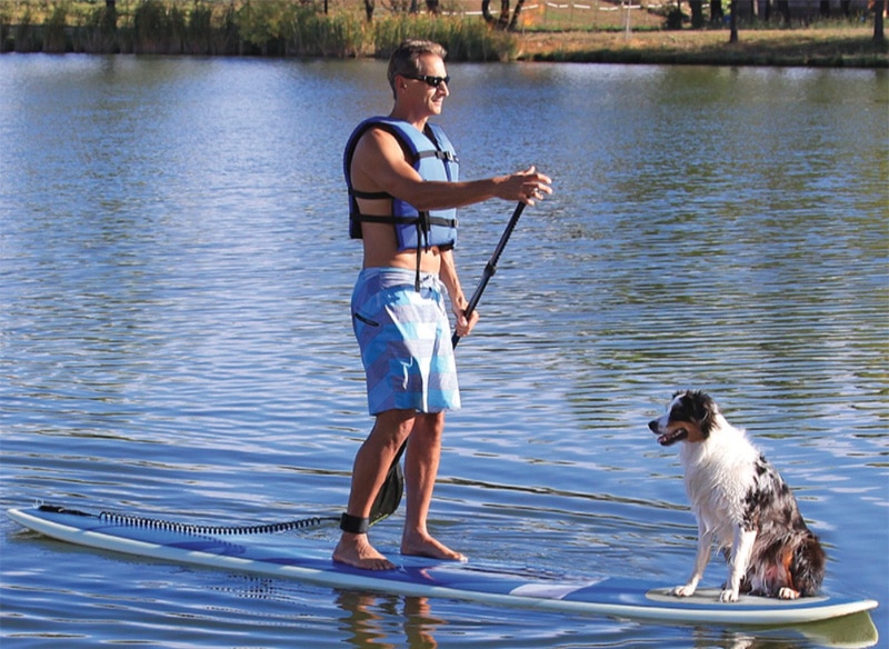 Paddleboarding with Your Dog