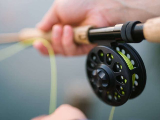 Beginners Guide To Fly Fishing: Tips, Gear, and More