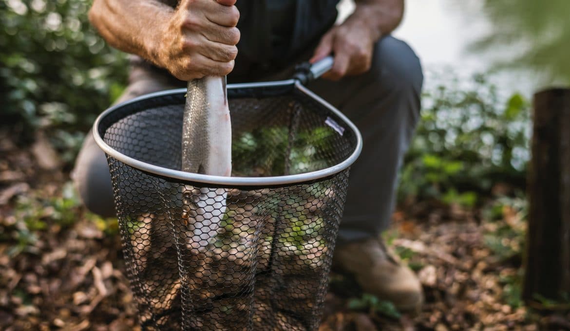 The Complete Fishing Net Buyers Guide
