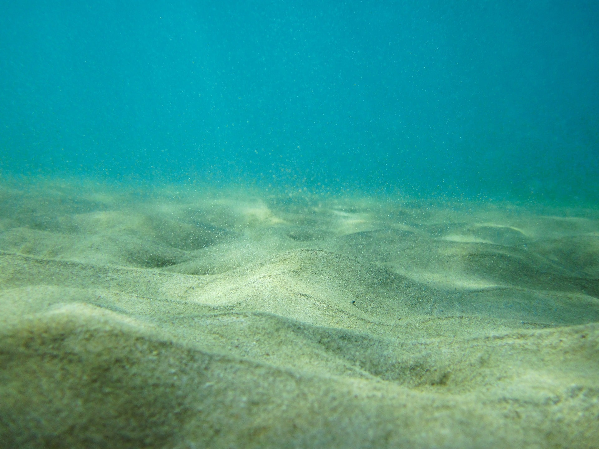 sandy ocean bottom