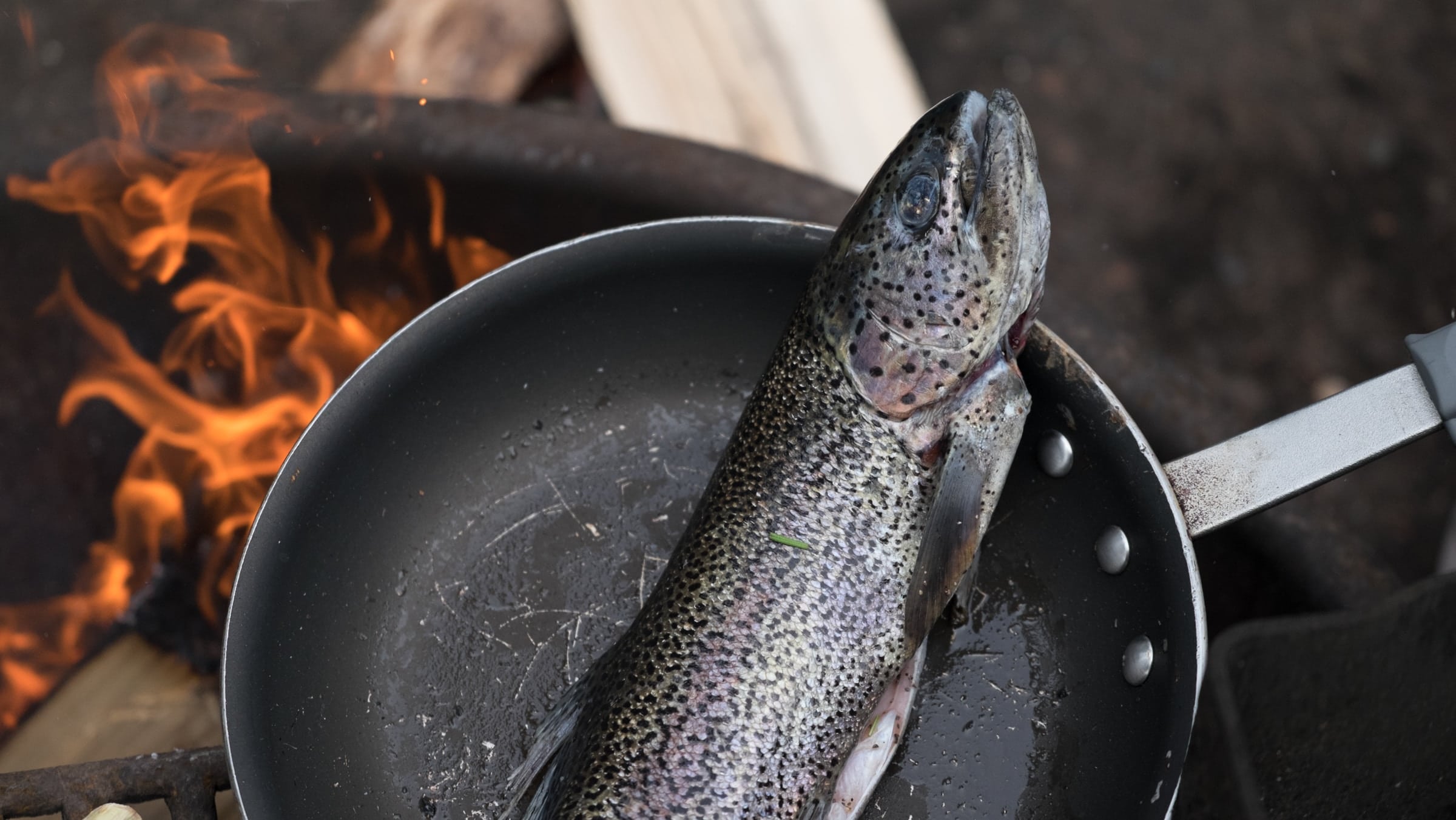 rainbow trout being cooked in a frying pan over a fire