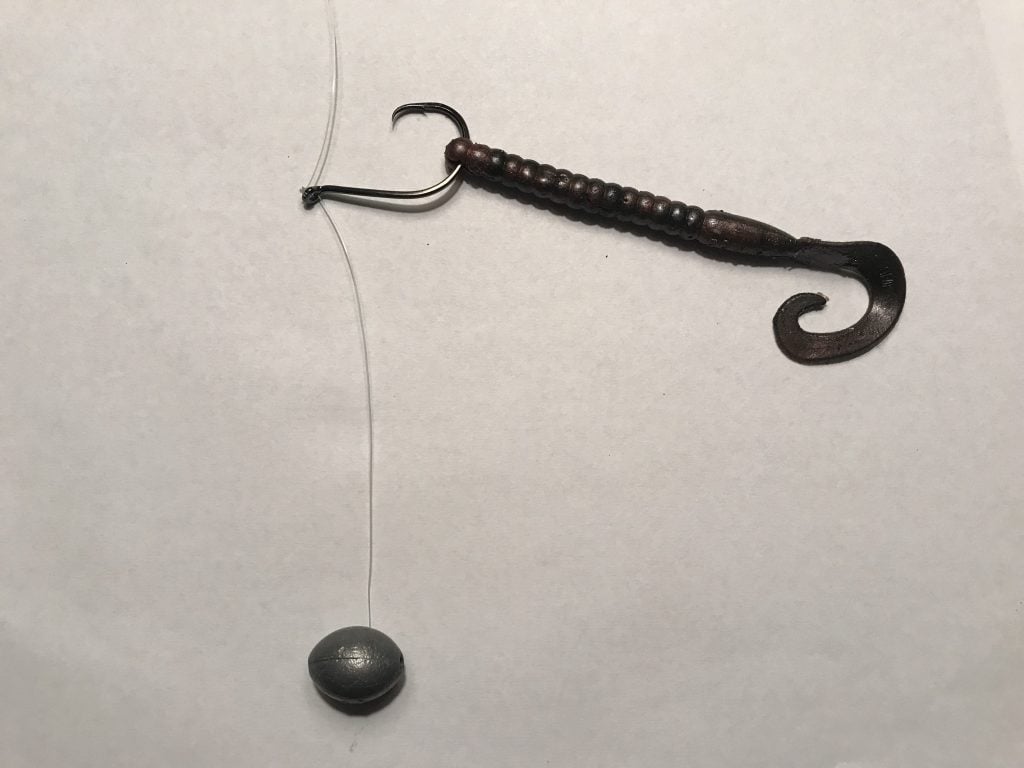 Black and red fishing worm drop shot rig