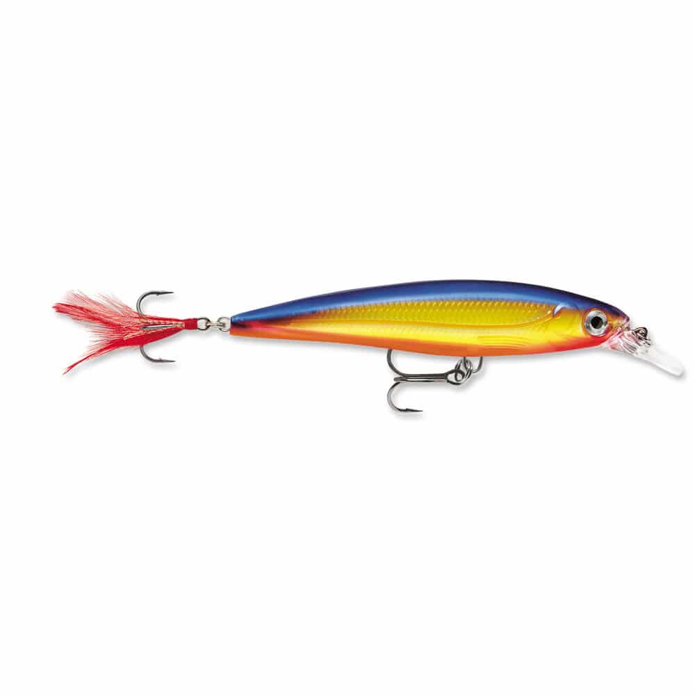 Blue and gold Rapala X-Rap Classic Slashbait jerkbait