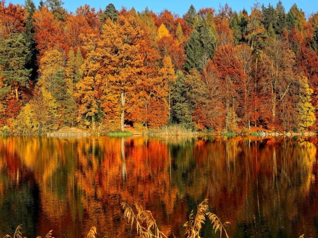 leaves changing colors on the shores of a lake