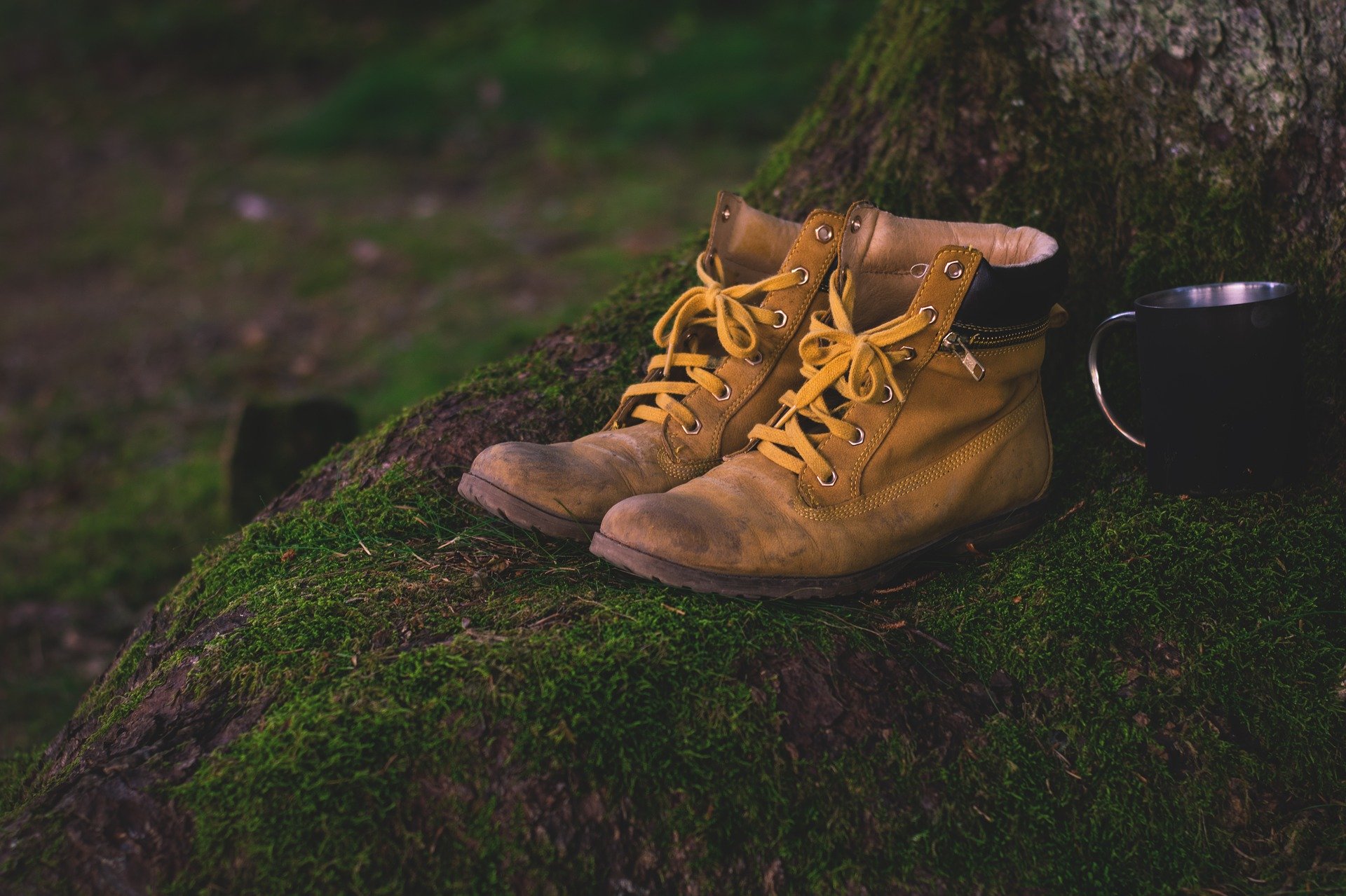 Woods deals hiking boots