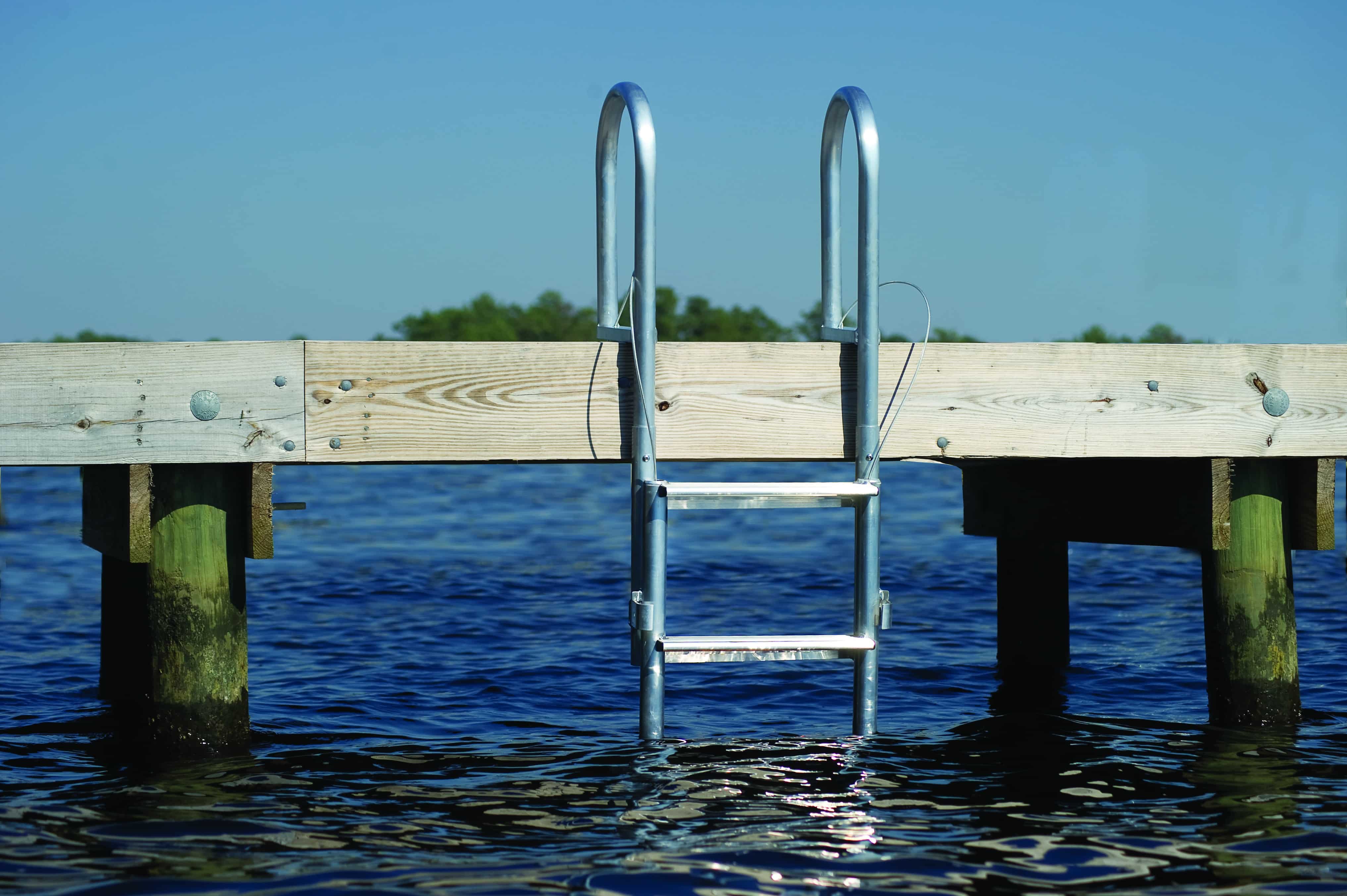 Metal dock ladder